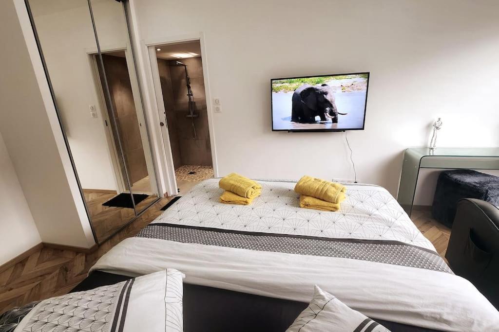 Suite Prestige Logement Neuf Avec Spa Et Ecran De Cinema En Rez De Jardin Colmar Exterior foto